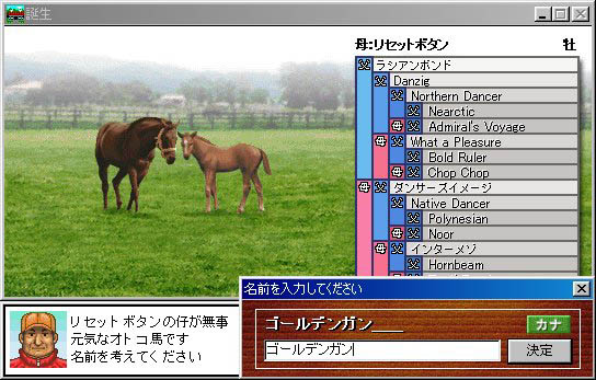 DERBYSTALLION for Win