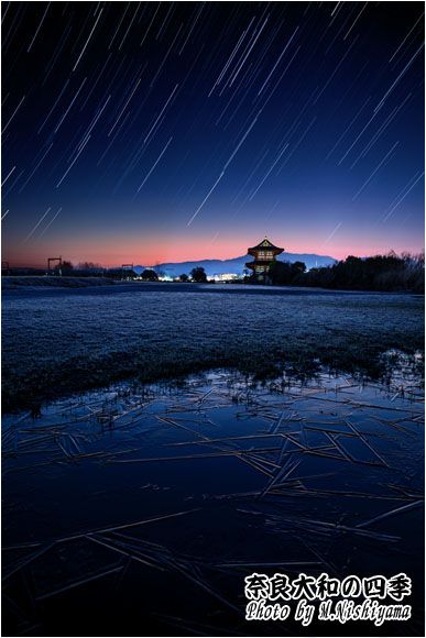 奈良大和の四季 2024年3月新作