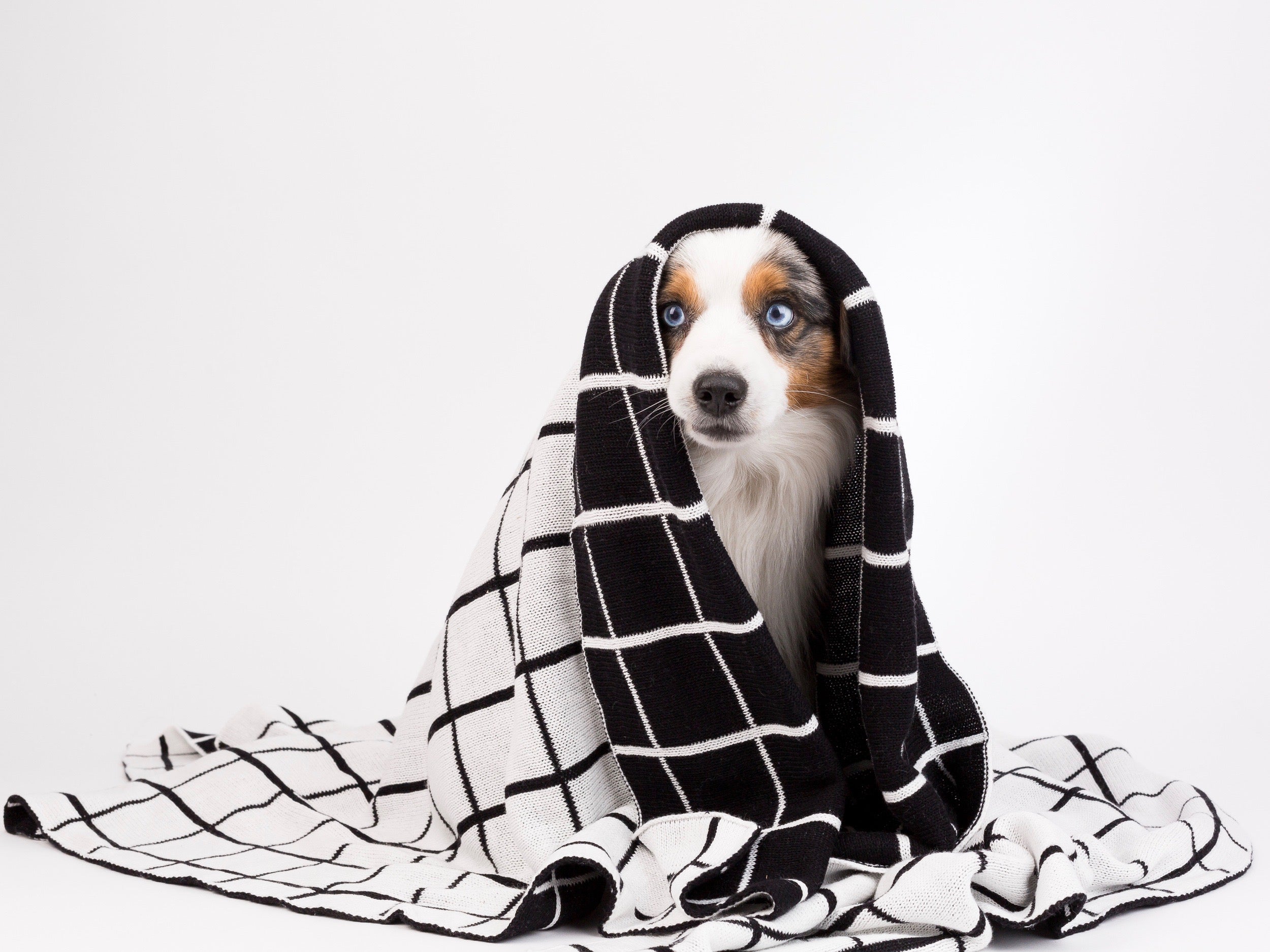 Grid Blanket – PIPOLLI