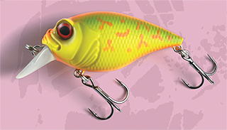 プロショップレージ オンラインショップ / Megabass / SR-X GRIFFON