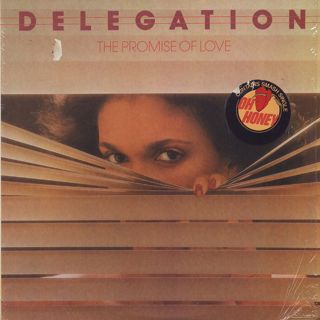 Delegation / The Promise Of Love (LP), Shady Brook | 中古レコード