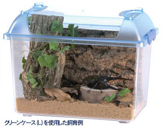 クリーンケース SS ｜ 株式会社三晃商会