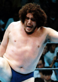 来日全外国人レスラー名鑑 アンドレ・ザ・ジャイアント