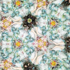 Sun Dance & Penny Rain【完全生産限定盤】 | Aimer | ソニー