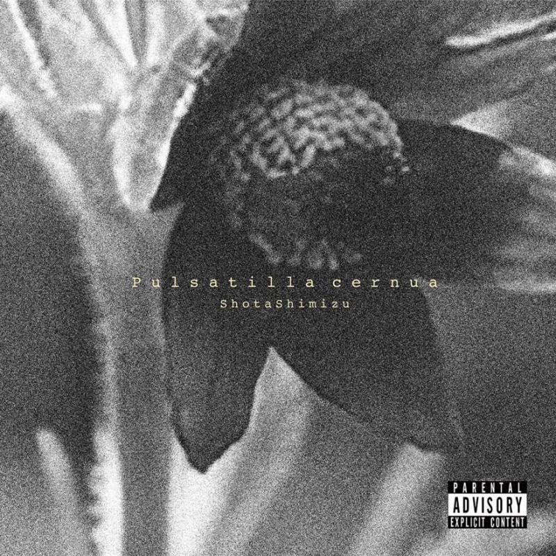 清水 翔太 | インフォメーション