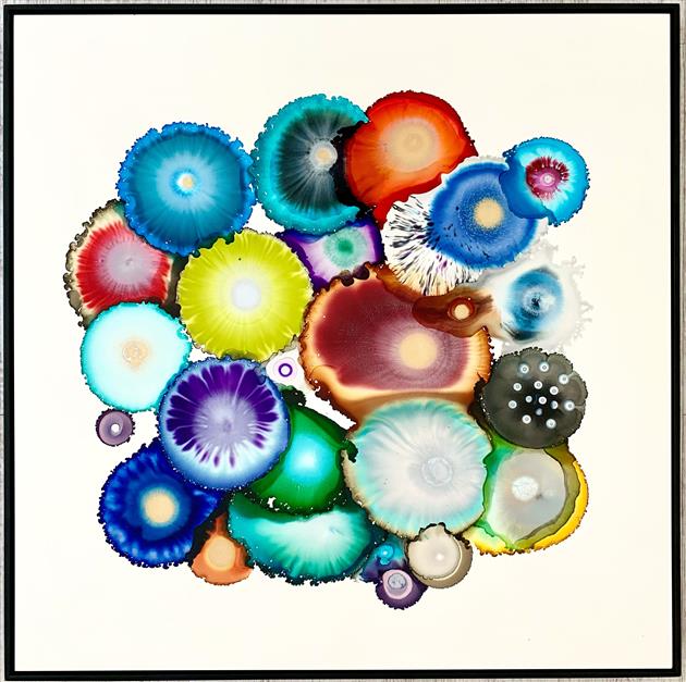 Laura VanHorne | Seattle Art Museum