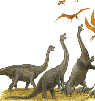 新恐竜復刊運動第3回：ブロントサウルスの末裔達