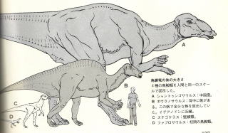 シャントウゴサウルス（山東竜）：アジアの巨大ハドロサウルス
