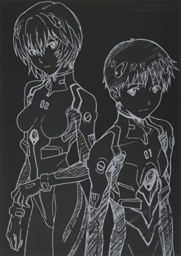 エヴァンゲリオン新劇場版：序 全記録全集 ビジュアルストーリー版