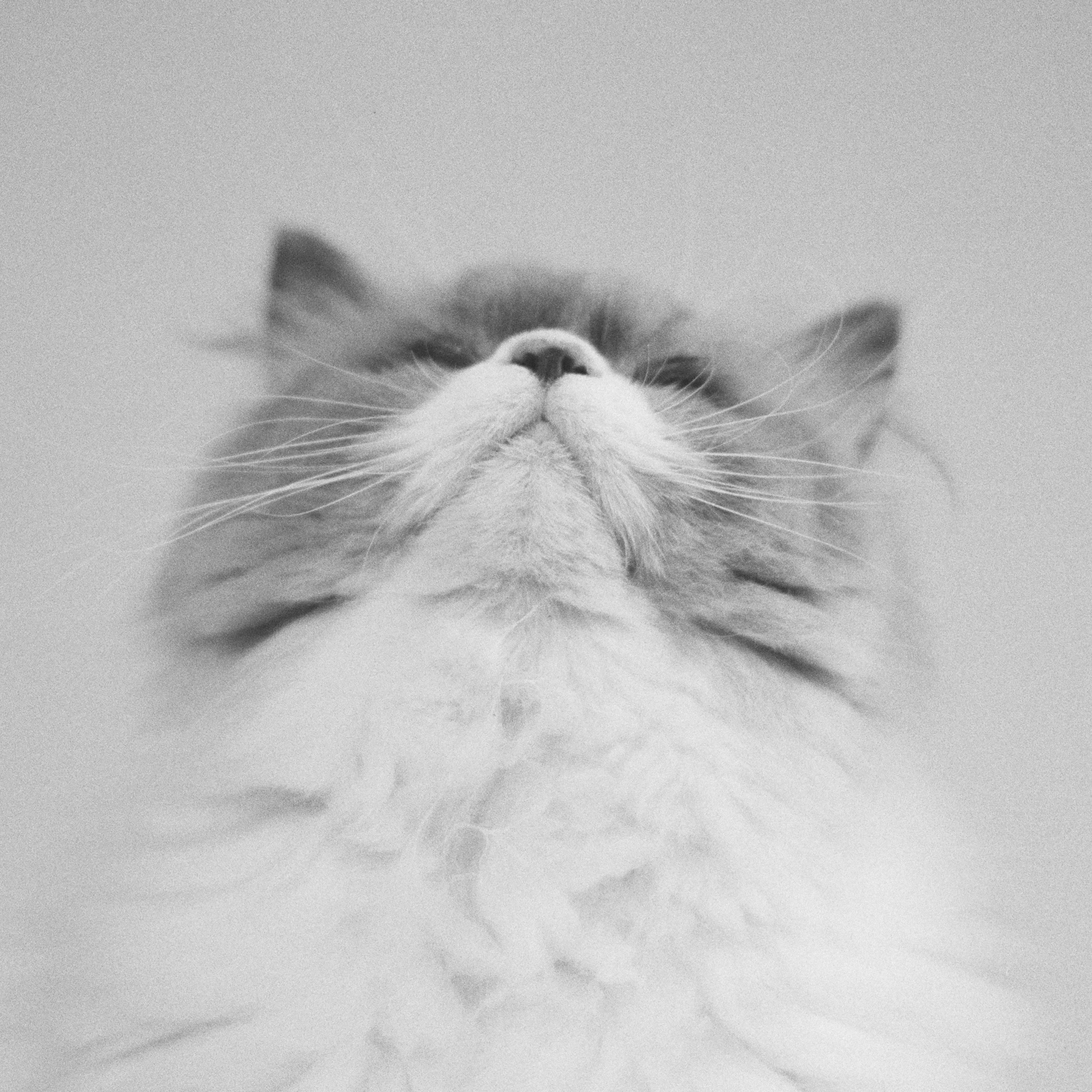 燦々』弾き語り再録AL『燦々 ひとりでに』CD &カセットでリリース