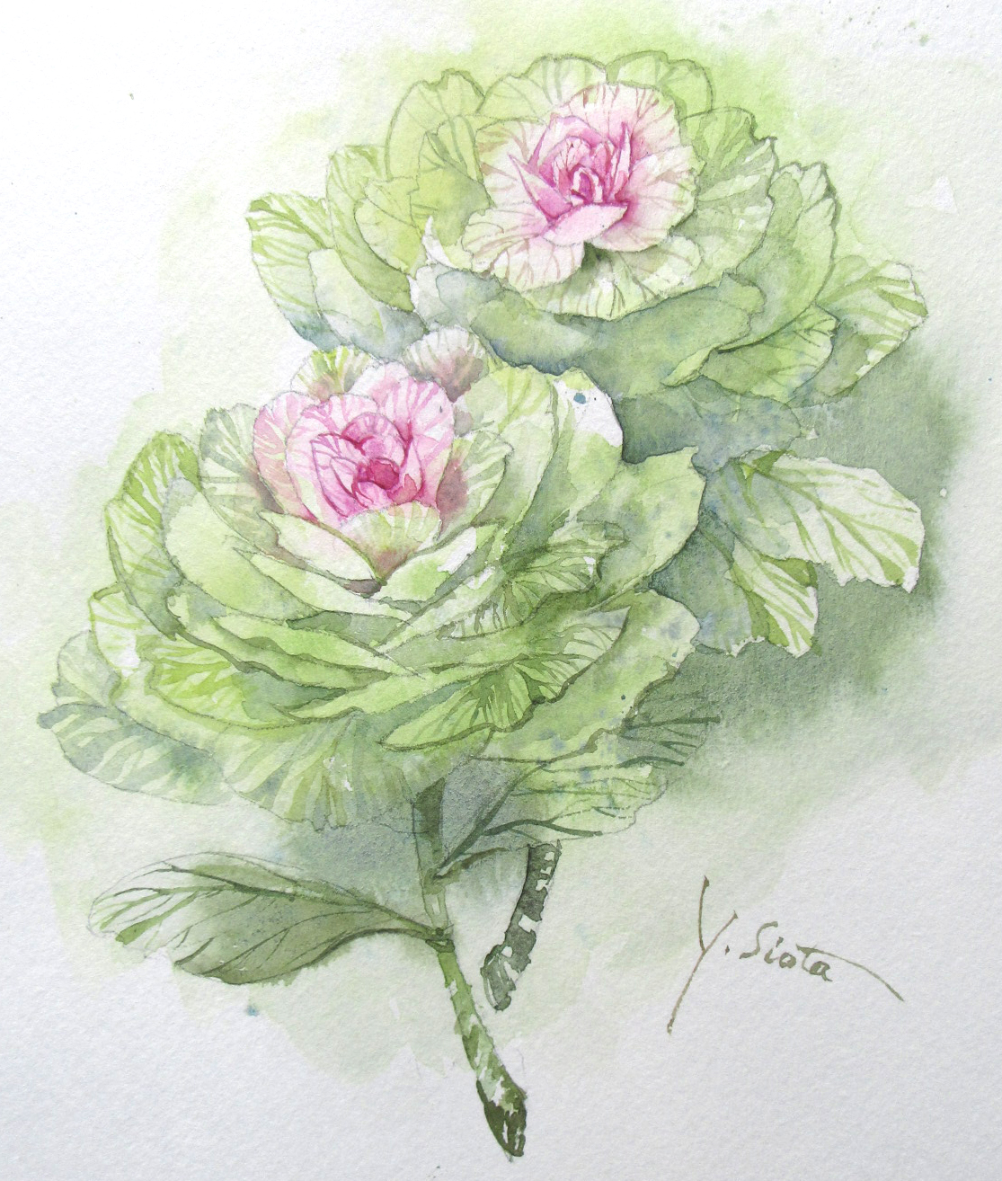 24 | 12月 | 2018 | 塩田由起子の『水彩毎日』