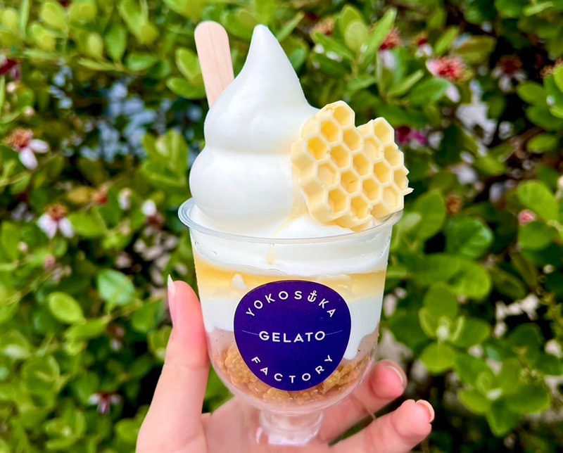 よこすか桜はちみつソフト～ヨコスカジェラートファクトリー｜横須賀