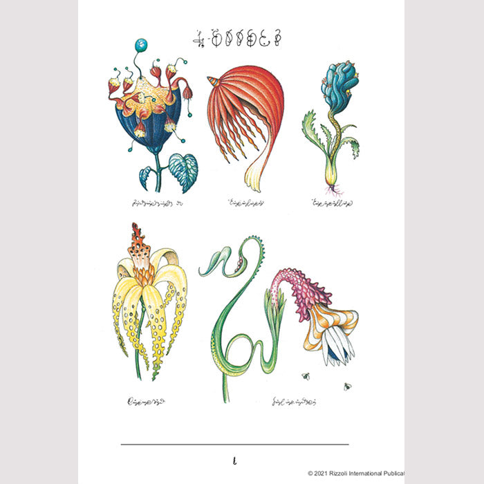 Codex Seraphinianus - 40th Anniversary Edition (light corner bump