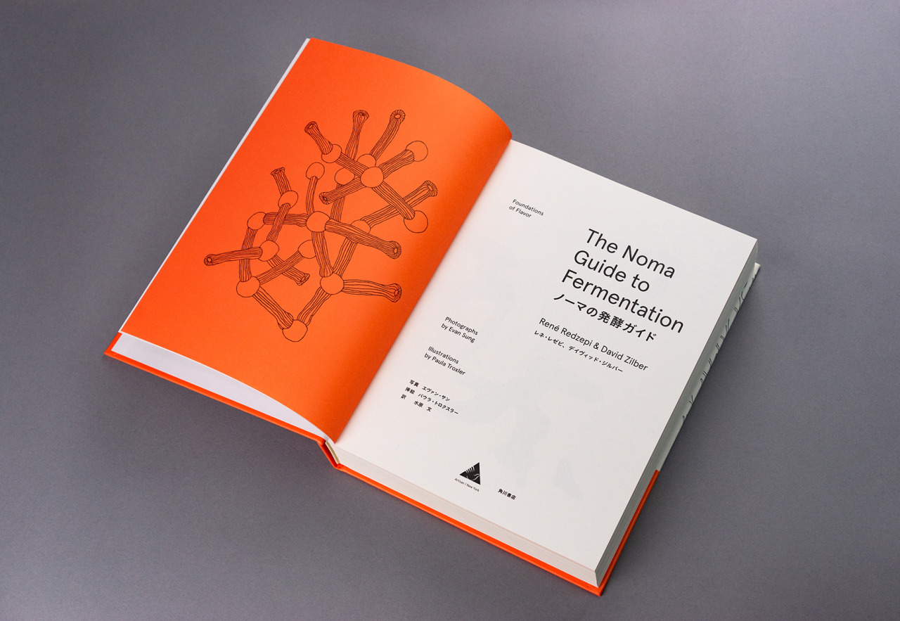 KEITARO TERASAWA - ノーマの発酵ガイド