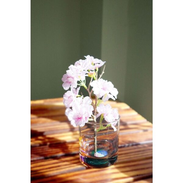 サザンオールスターズ／LIVE TOUR 2025 「THANK YOU SO MUCH!!」（完全