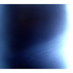 シャイトープ - 通販｜セブンネットショッピング