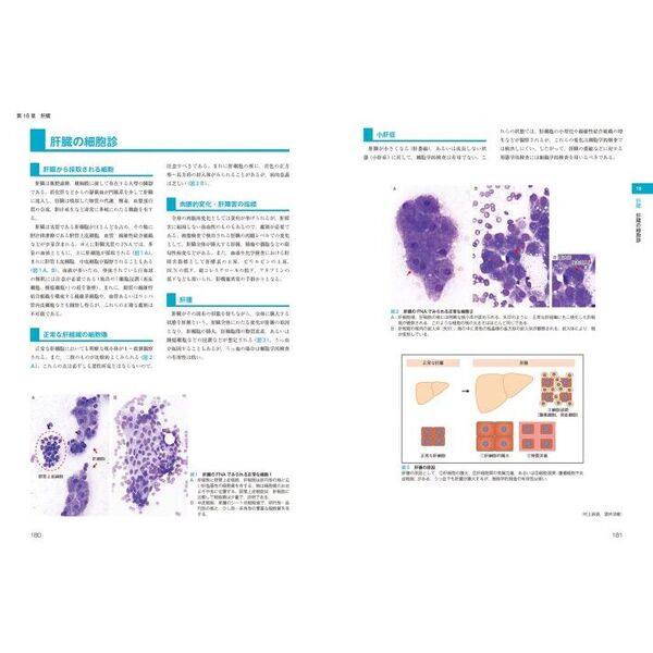 犬と猫の実践細胞診アトラス 通販｜セブンネットショッピング