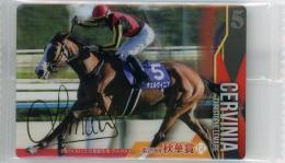 ミントモール / MINT 千葉店 / サラブレッドホースコレクション ツイン