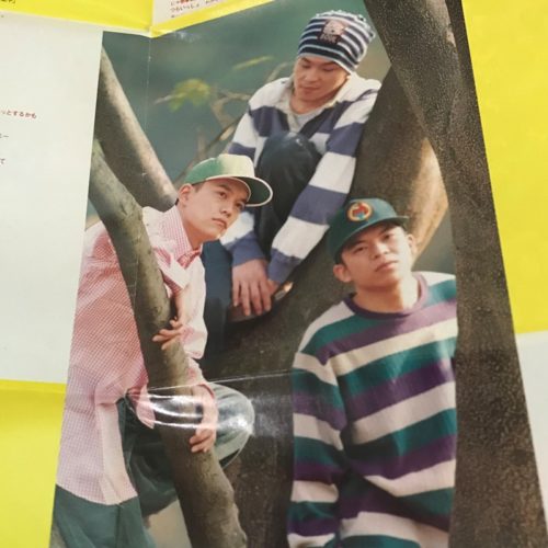 スチャダラパー / WILD FANCY ALLIANCE | 90年代の日本語ラップ