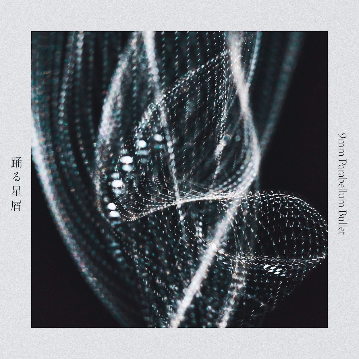 9mm Parabellum Bullet official site