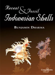 PDF) Recent and Fossil Indonesian Shells