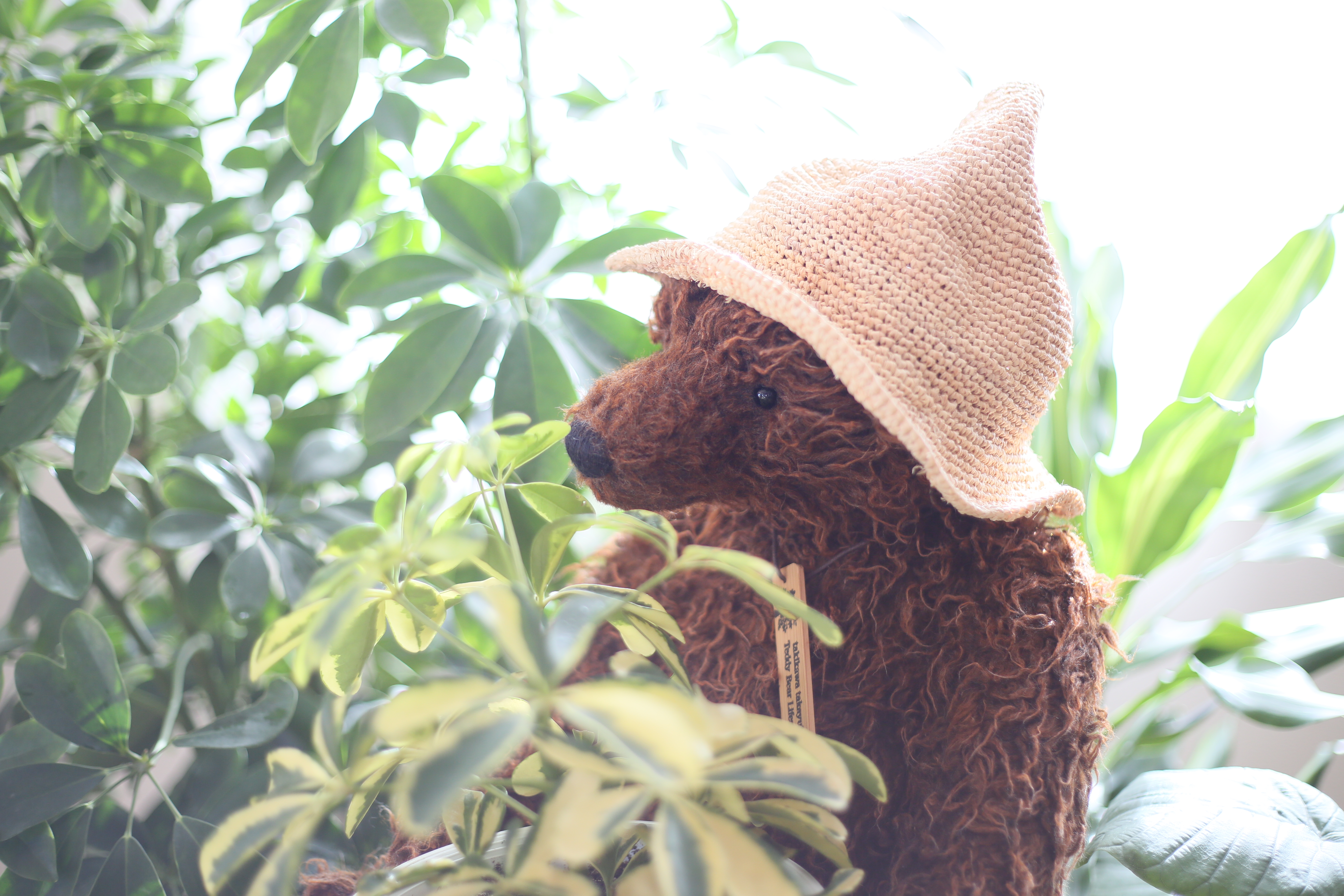 2023年 夏のテディベア作家展 | 蓼科テディベア美術館｜世界最大規模を