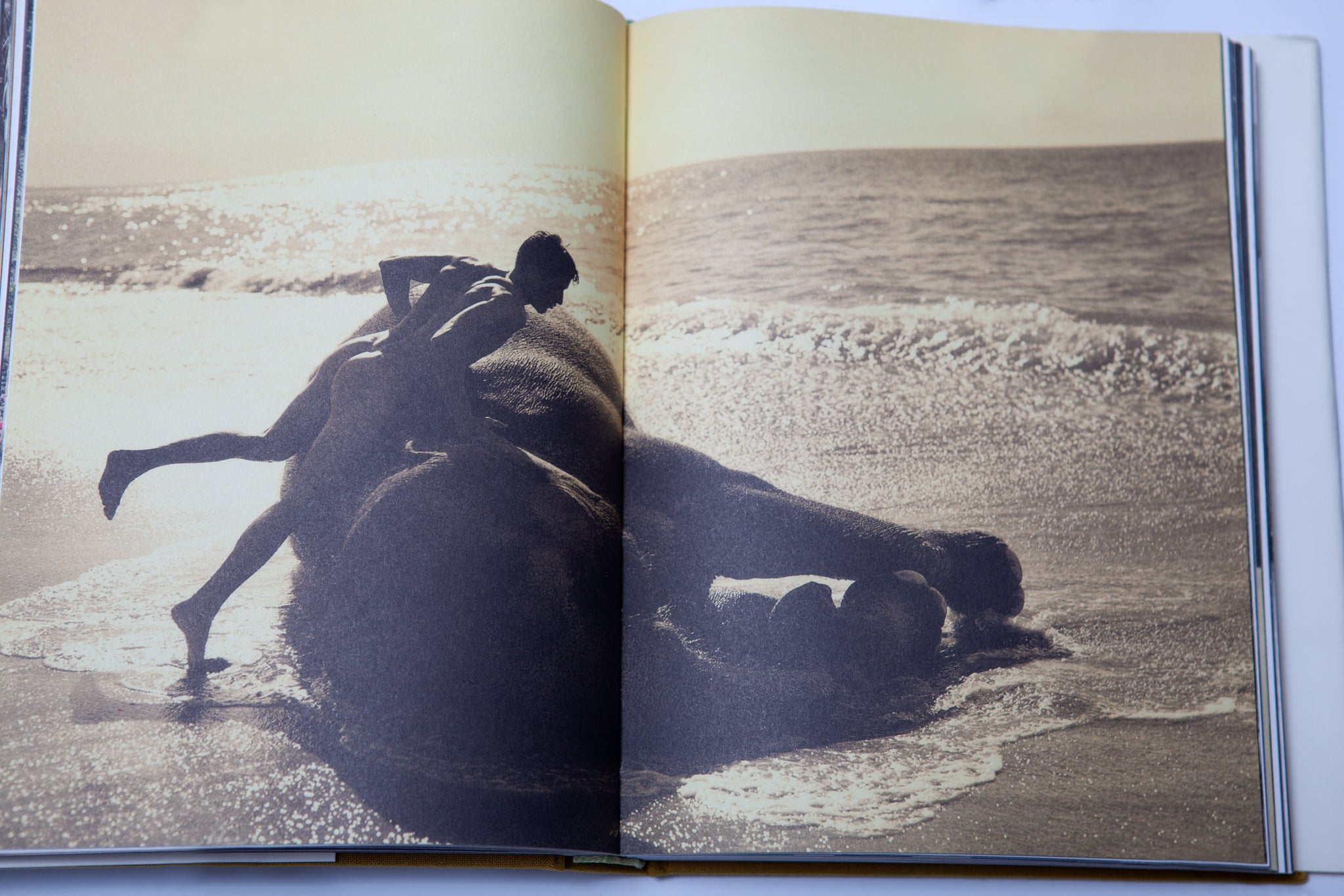 Bruce Weber - The Chop Suey Club – 10 BOOKS 10 COLORS