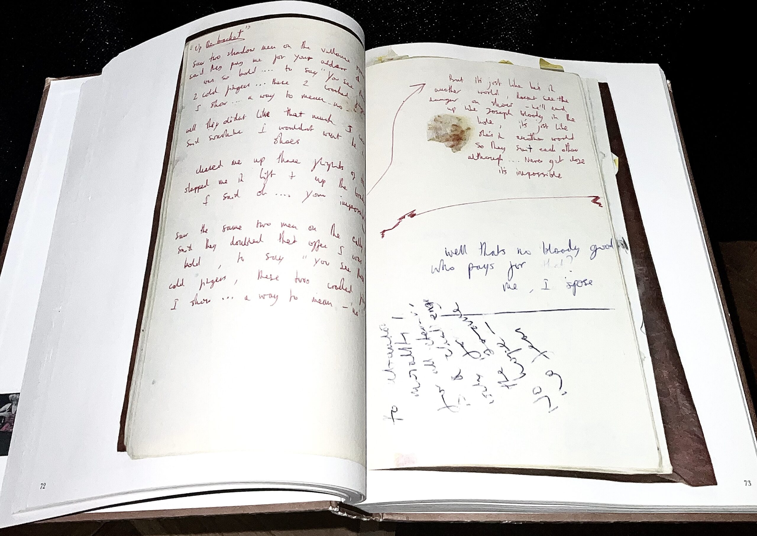 THE BOOK OF ALBION – PETER DOHERTY - 2-B-C