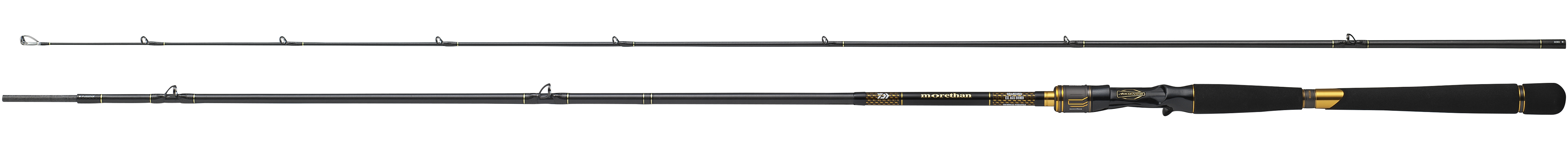 モアザン ブランジーノ EX AGS ベイトモデル (ロッド)｜DAIWA