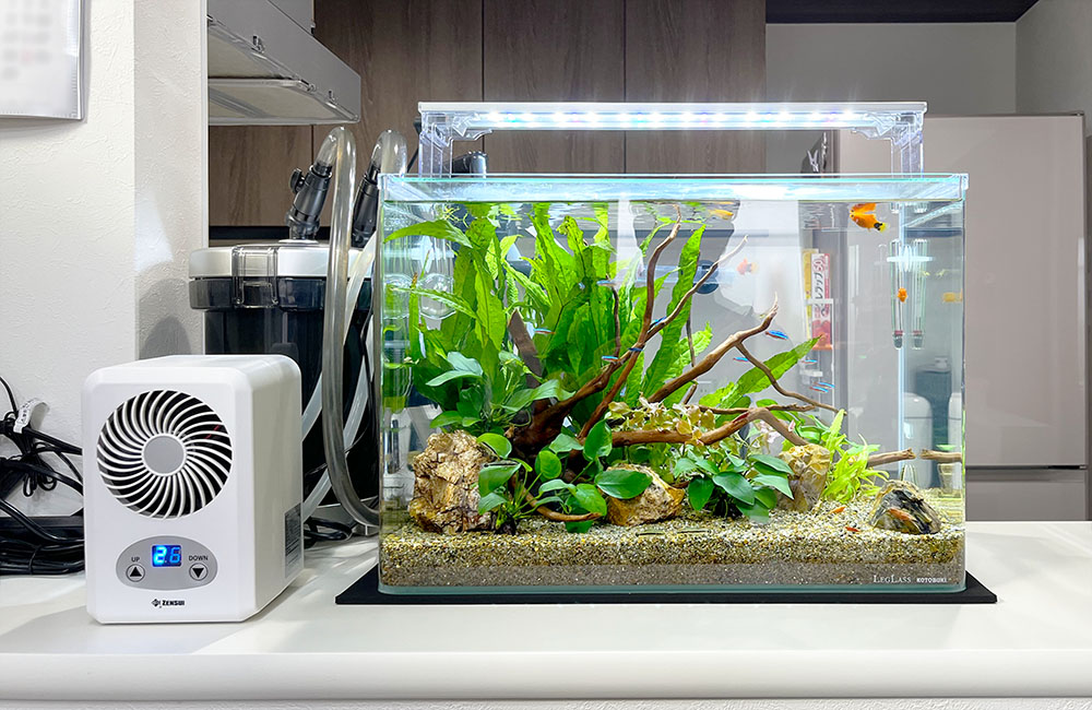 水槽用照明の数は水槽レイアウトで決める！LED照明の適正数を解説