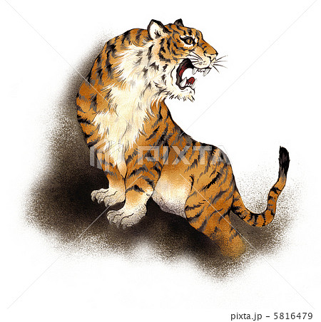 日本画 虎のイラスト素材 [5816479] - PIXTA