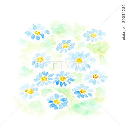 ブルー・デイジーのイラスト素材 [29054280] - PIXTA