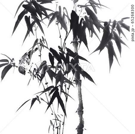 雀に竹 水墨画のイラスト素材 [65268300] - PIXTA
