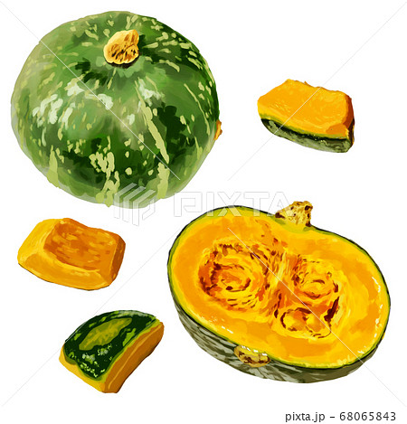 水彩・厚塗りのかぼちゃイラストのイラスト素材 [68065843] - PIXTA