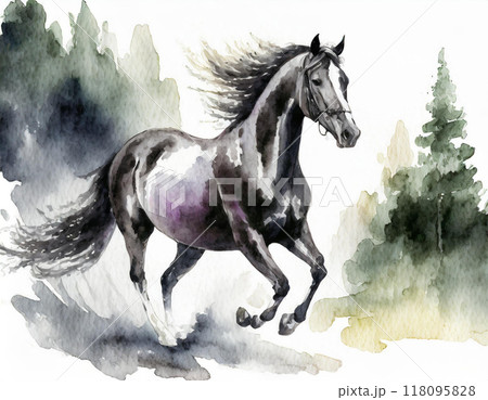 水彩画で描かれた馬のイラスト素材 [118095828] - PIXTA