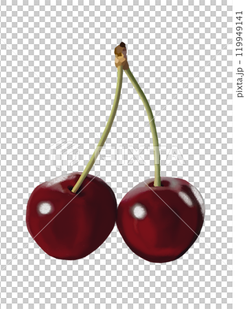 アメリカンチェリー（2個）のイラスト素材 [119949141] - PIXTA