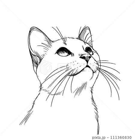 見上げる猫のイラスト素材 [111360830] - PIXTA
