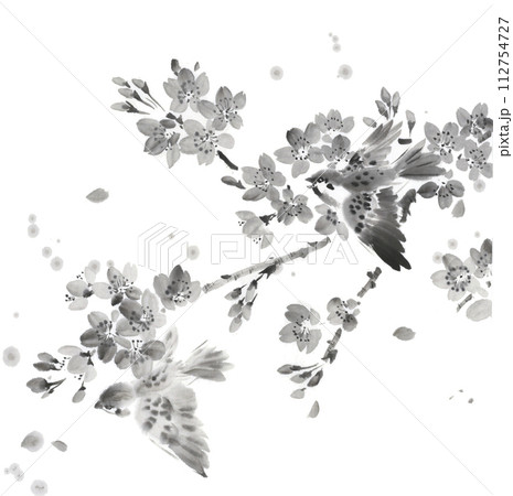 満開の桜と雀 水墨画のイラスト素材 [112754727] - PIXTA