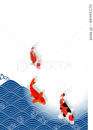 鯉 波のイラスト素材 - PIXTA