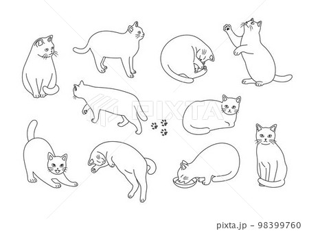 猫 ドローイングの写真素材 - PIXTA