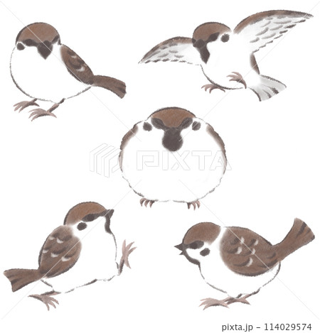 鳥 墨絵 水墨画 雀のイラスト素材 - PIXTA