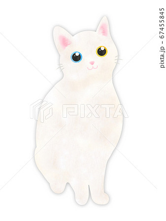 白猫 オッドアイのイラスト素材 - PIXTA