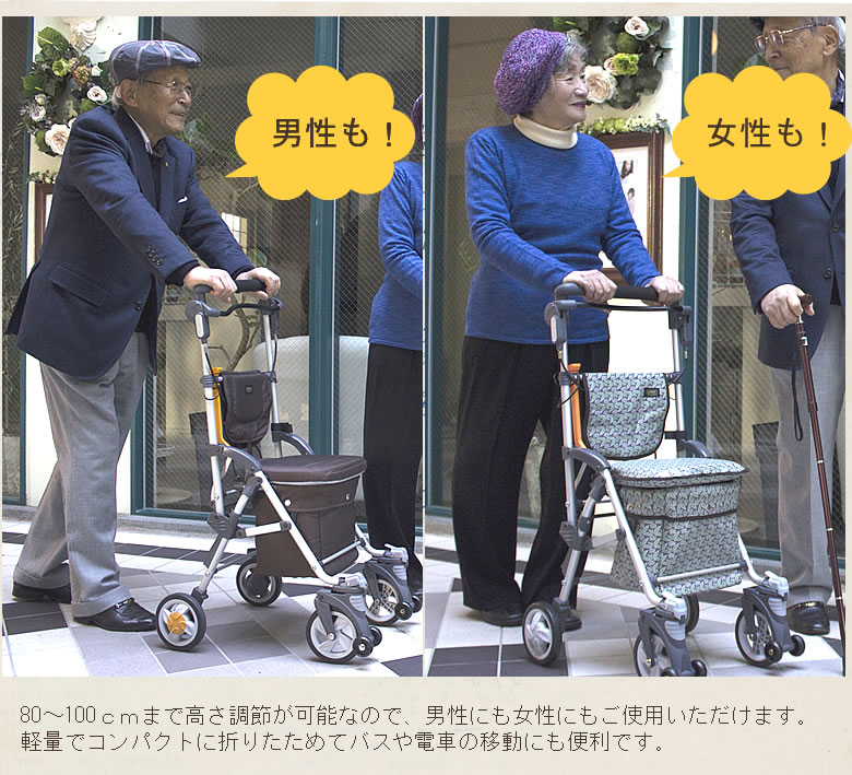 シルバーカー キャリースルーンボックスN | TCマート（シニア