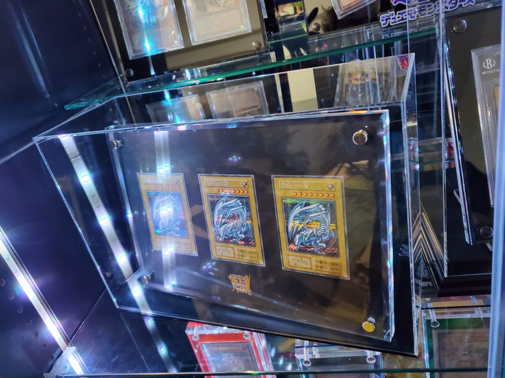 with:D】満足度高め！カイバセットの弱点、UV対策もバッチリ