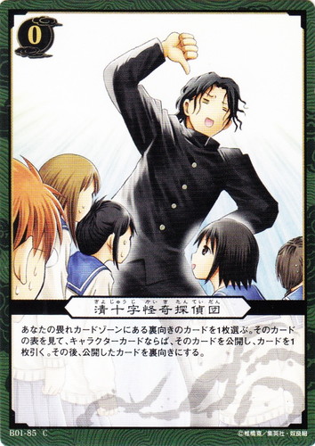 ぬらりひょんの孫トレーディングカードゲーム(15 枚)