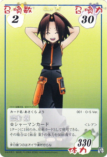 シャーマンキング 超・占事略決(238枚)