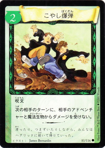 ハリー・ポッター トレーディングカードゲーム(19 枚)