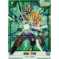 Dragon Ball Super Card Game Fusion World/[FB01] AWAKENED PULSE]孫