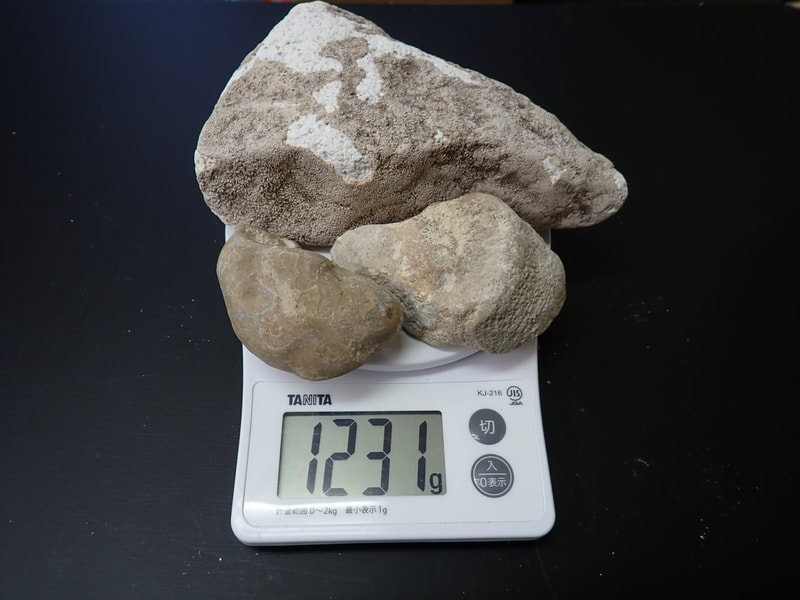 新入荷14番 お風呂用 玉川産北投石515gセット（プレゼント付き合計