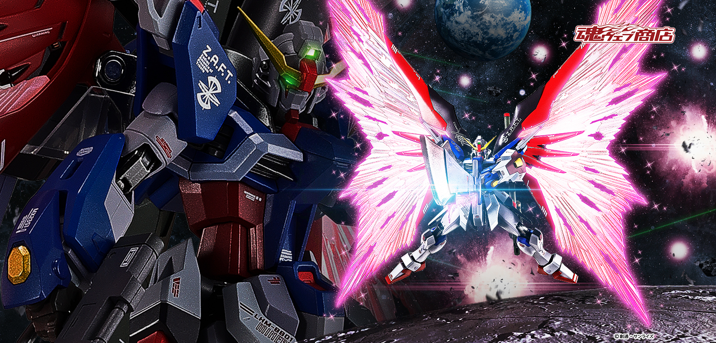 METAL ROBOT魂 ＜SIDE MS＞ デスティニーガンダム［Re:Coordinate